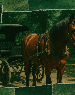 Málaga desmonta las jaulas del turismo: los caballos dejan de ser decorado urbano