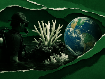 Hemos cruzado el primer punto de no retorno climático: el colapso silencioso de los arrecifes de coral