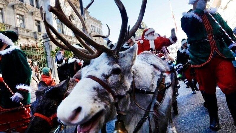 No a los renos en las cabalgatas de El Escorial