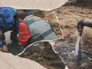 Cinco millones por saquear agua pública: el negocio de la Casa de Alba junto a Doñana