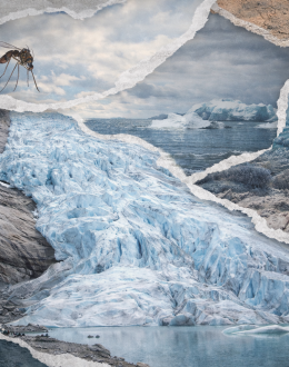 Tres piscinas olímpicas por segundo: el deshielo imparable de los glaciares que está redefiniendo el planeta