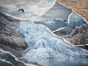 Tres piscinas olímpicas por segundo: el deshielo imparable de los glaciares que está redefiniendo el planeta