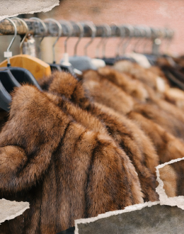 El boicot funciona: Etsy prohíbe la venta de pieles tras 58 días de presión global