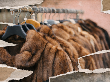 El boicot funciona: Etsy prohíbe la venta de pieles tras 58 días de presión global