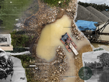 La Amazonía se hunde entre cocaína, oro y corrupción mientras el mundo mira hacia otro lado