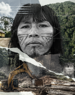 El saqueo avanza sobre la última gran frontera indígena de la Amazonía