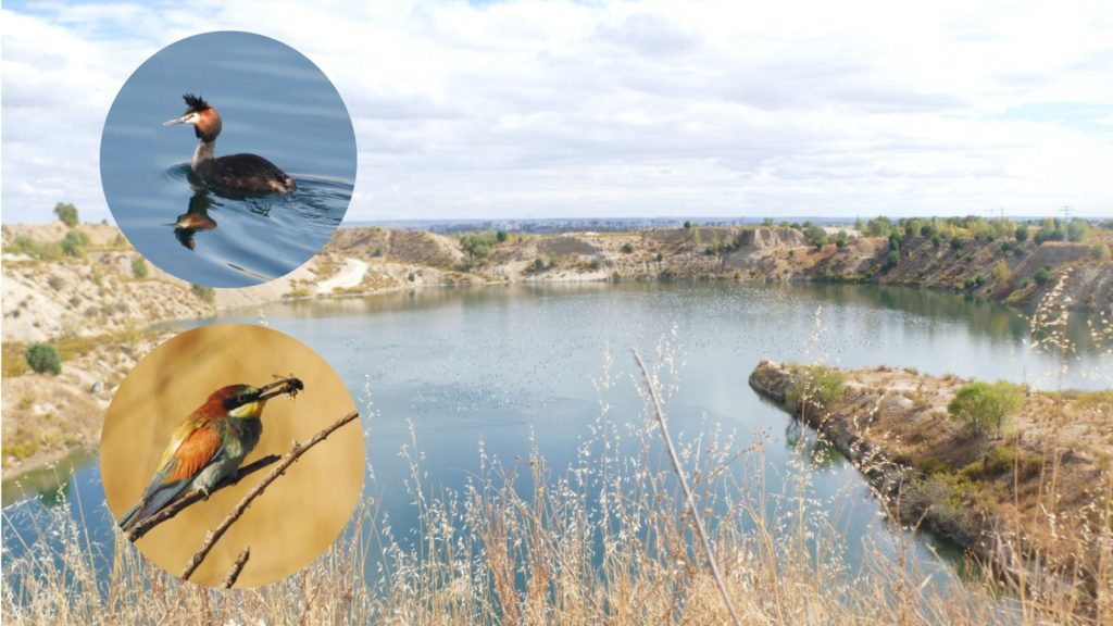 ¡Ayúdanos a salvar la CASA DE CAMPO DE AMBROZ y proteger sus lagunas!