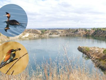¡Ayúdanos a salvar la CASA DE CAMPO DE AMBROZ y proteger sus lagunas!